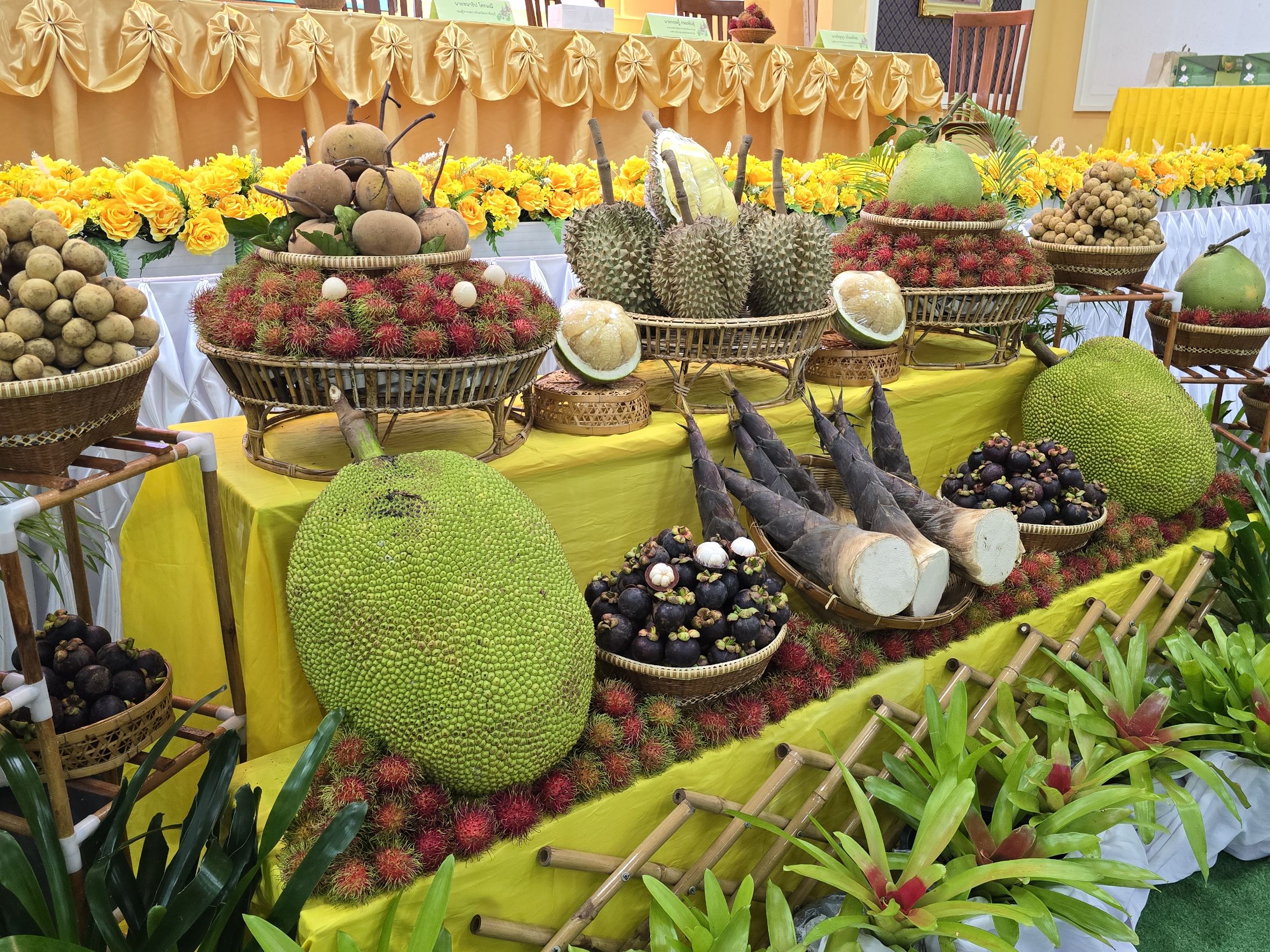 title - วันที่ 14 พฤษภาคม 2569 นายวิทูล ประดิษฐบุญ ปฏิรูปที่ดินจังหวัดปราจีนบุรี ร่วมเป็นเกียรติในกิจกรรมแถลงข่าวการจัดงานวันเกษตรปราจีนบุรี ครั้งที่ 60 ประจำปี 2569